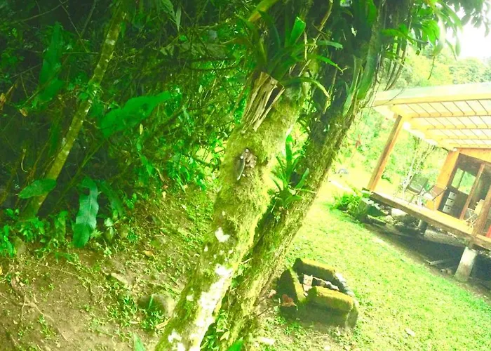 Mindo Eco Suite Con Rio Y Cascada