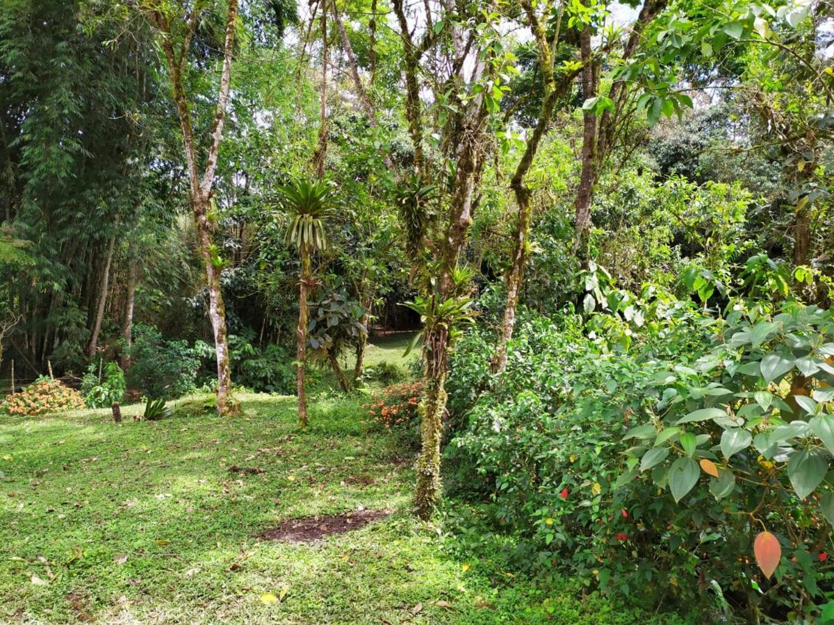 Holiday home Eco Con Rio Y Cascada Mindo