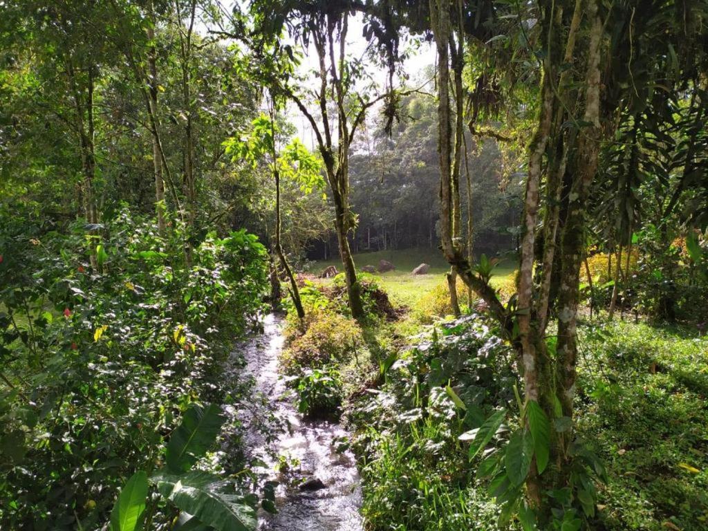 Eco Con Rio Y Cascada Holiday home