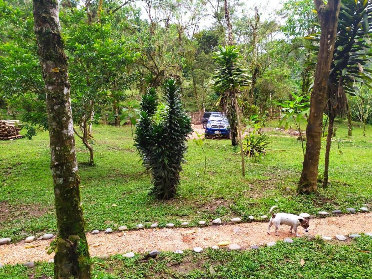 Eco Con Rio Y Cascada Holiday home *